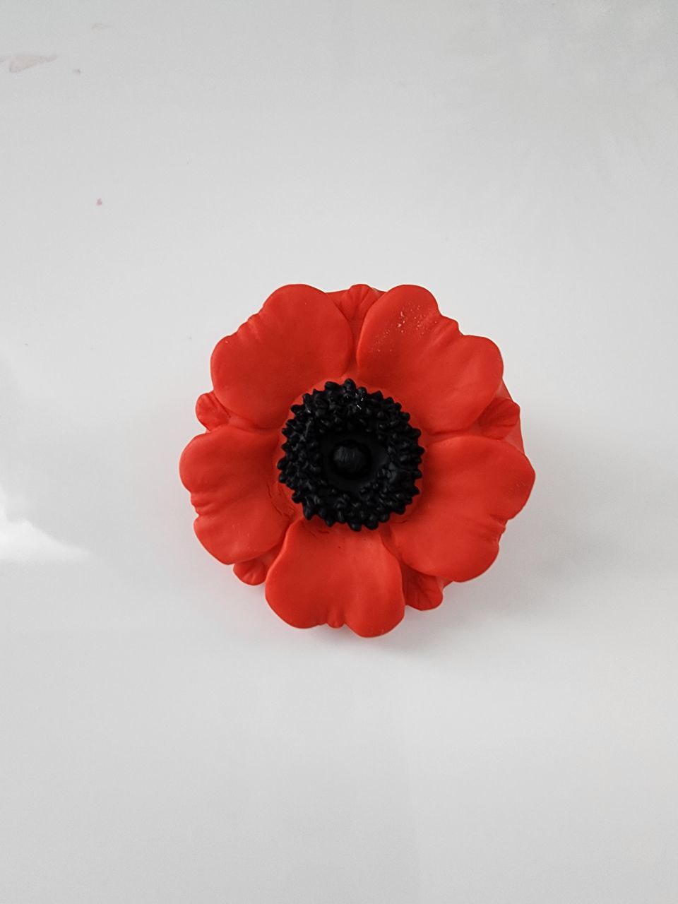 Red Poppy