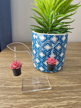 Load image into Gallery viewer, Final clearance – Potted Succulent red resin dangle earrings, lightweight and affordable.
